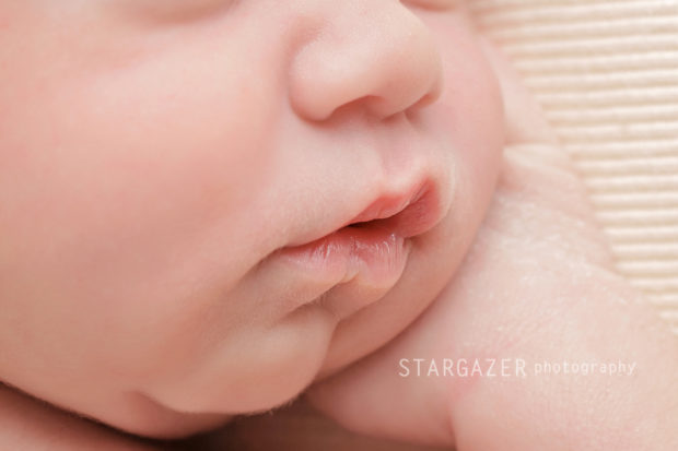 Newborn Photography Perrysburg Ohio