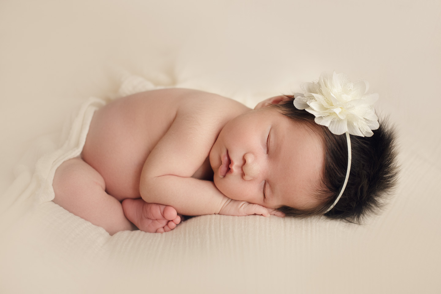 Sylvania Ohio Newborn Portraits