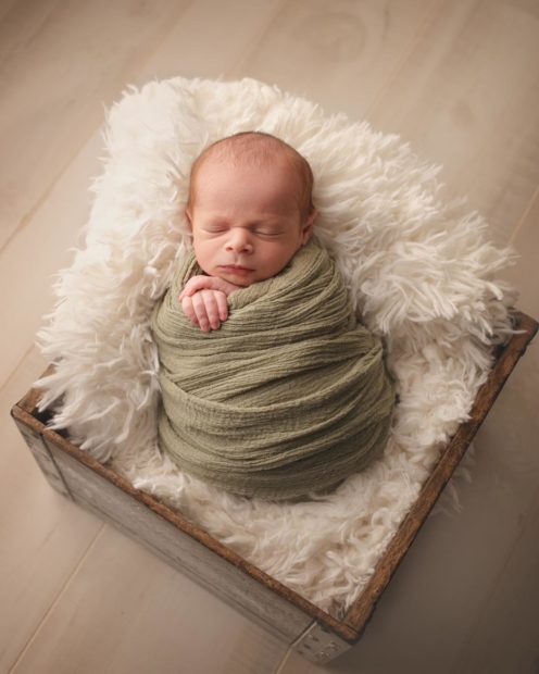 Toledo Newborn Photographer