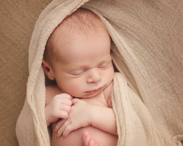 Toledo Newborn Photographer