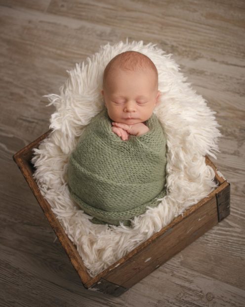 Toledo Newborn Photographer