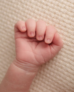 Toledo Infant Photography Studio