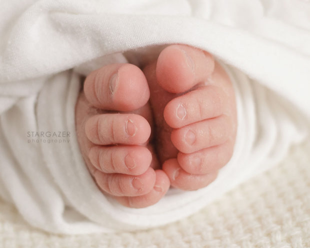 Toledo Infant Photographer