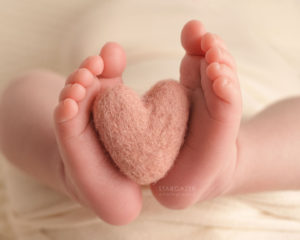 Toledo Newborn Photographer