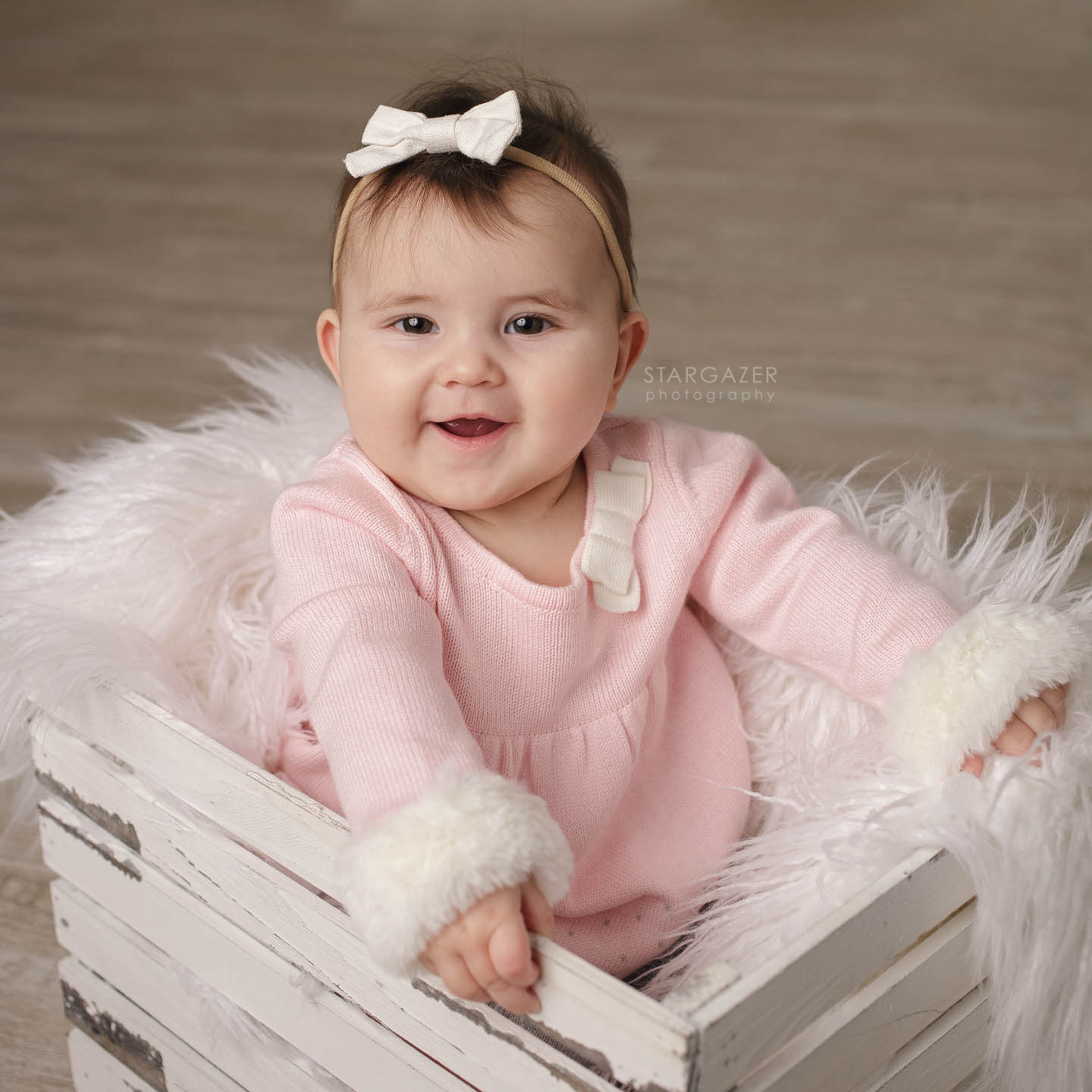 Toledo Baby Milestone Photography