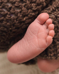 Toledo Infant Photographer Baby Portraits