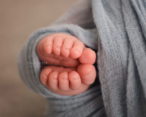 Toledo Infant Photographer Baby Portraits