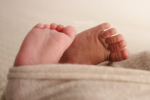 Toledo Newborn Photography