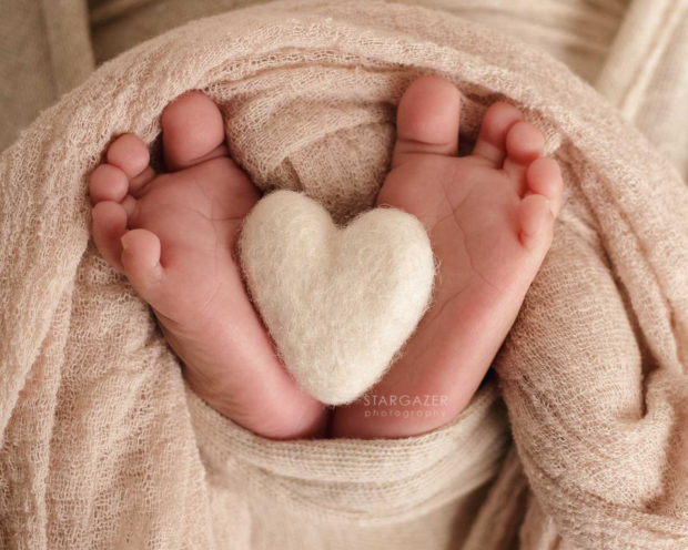 Toledo Newborn Photography