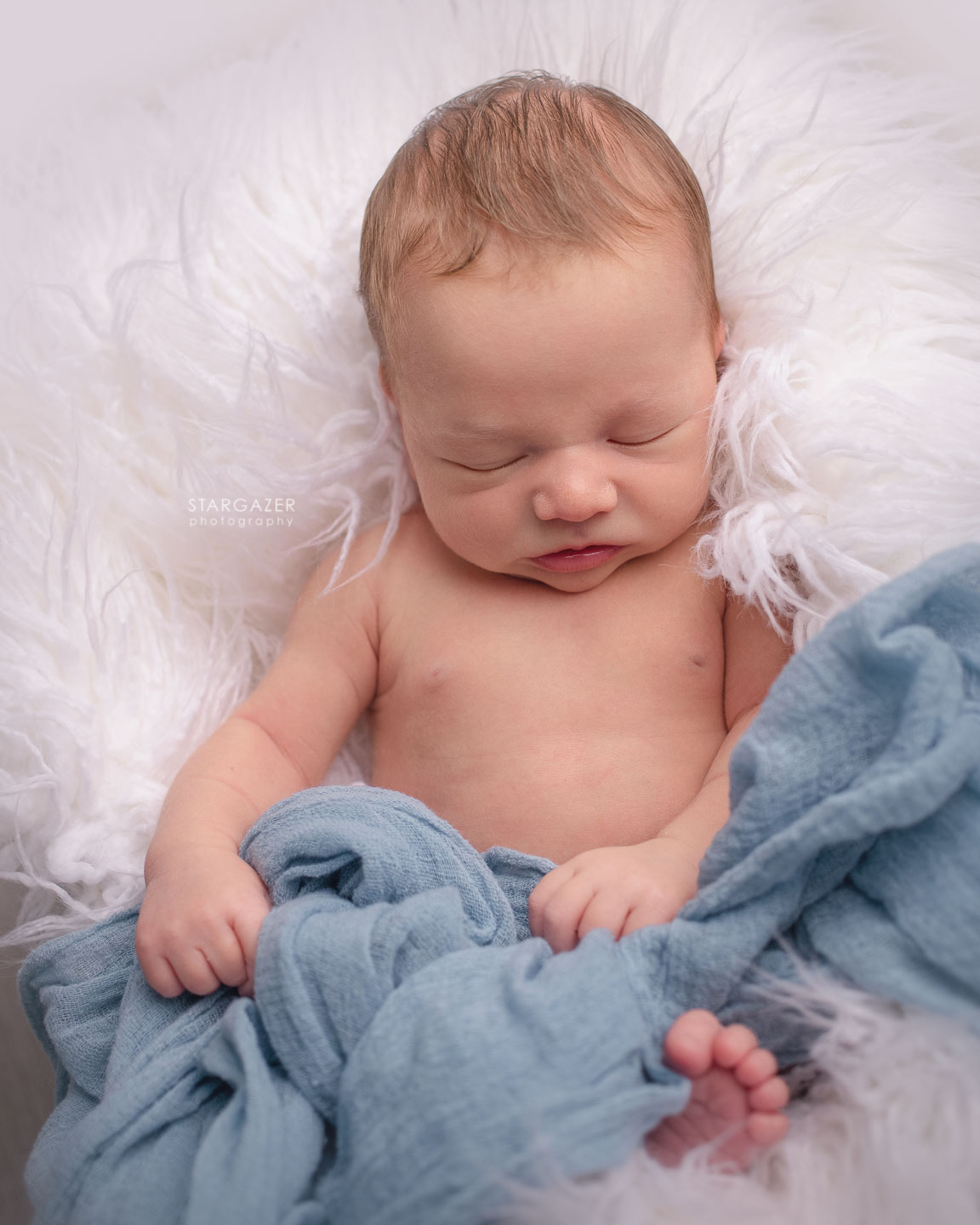 Toledo Newborn Photographer