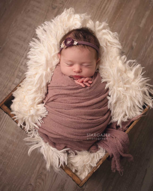 Toledo Newborn Photographer