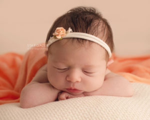 Toledo Newborn Photographer