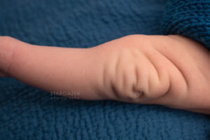 toledo newborn photographer-20200819134000