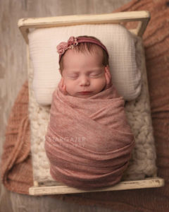 Toledo Newborn Photographer