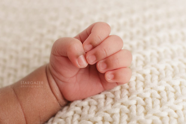 Toledo Newborn Pictures