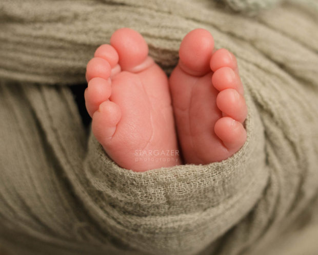 Toledo Newborn Pictures