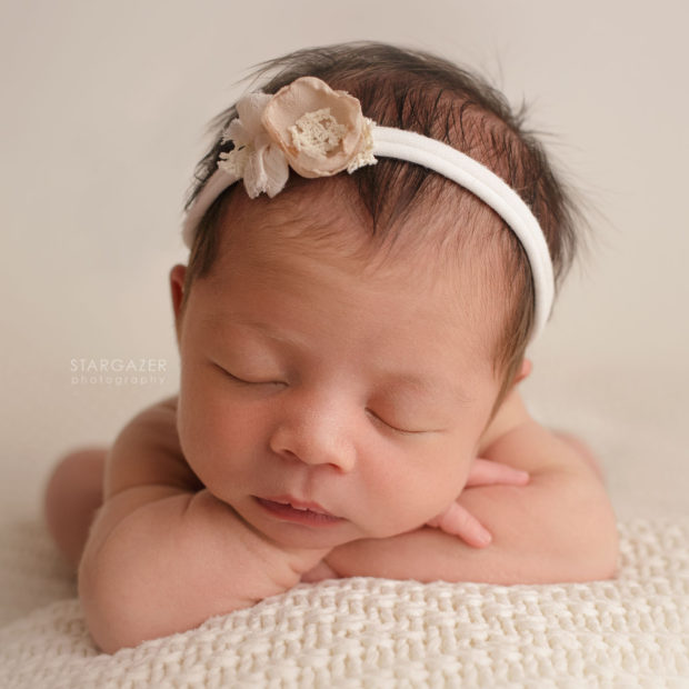 Toledo Newborn Infant Baby Photographer
