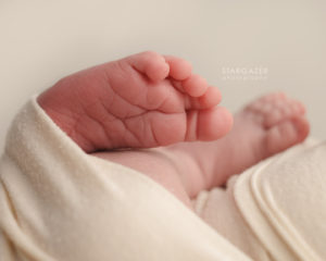 Toledo Newborn Baby Photographer