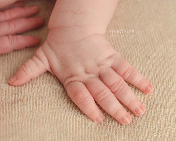 Toledo Newborn Baby Photographer
