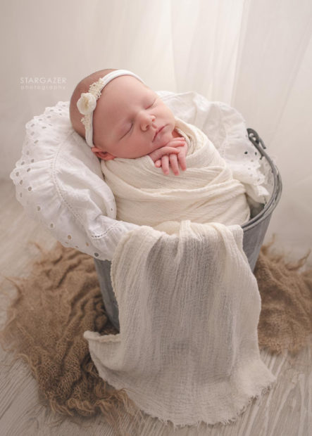 Toledo Newborn Photographer