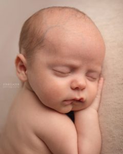 Toledo Newborn Photographer Studio