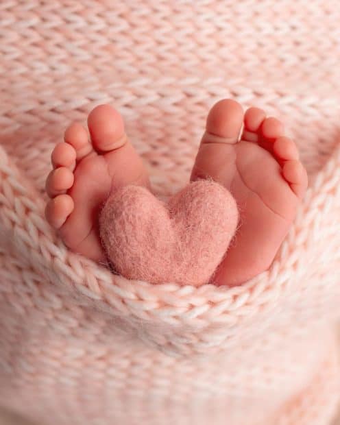 Toledo Newborn Photographer