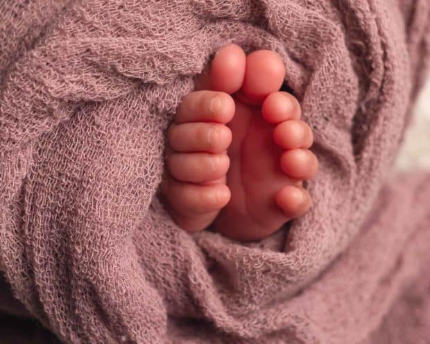 Toledo Newborn Photographer