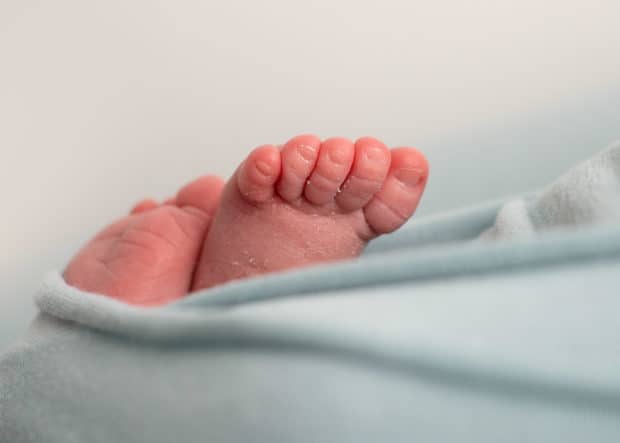 Toledo Newborn Photographer