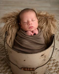 Toledo Newborn Photographer