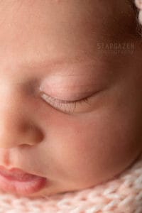 Temperance Michigan Newborn Photographer