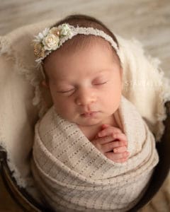 Temperance Michigan Newborn Photographer