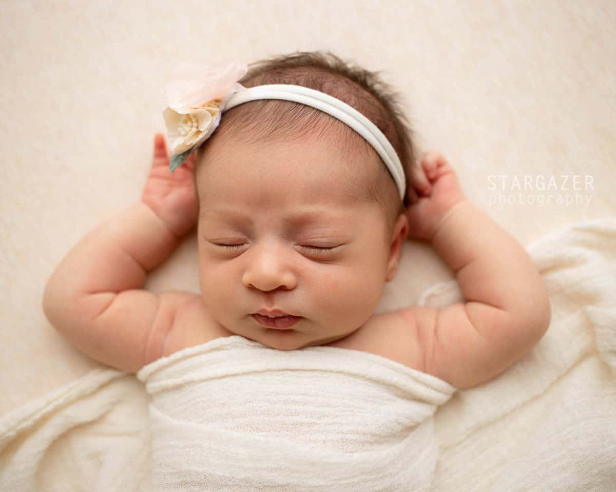 Temperance Michigan Newborn Photographer