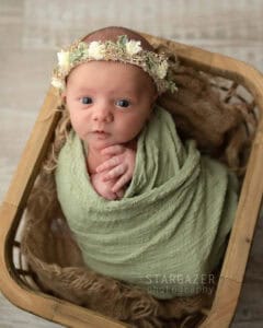 Toledo Newborn Photographer