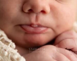 Toledo Newborn Photographer