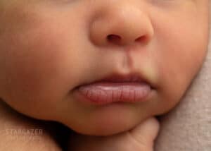 Toledo Baby Photographer